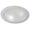 DOWNLIGHT LED EDISON 30W ALUMINIO